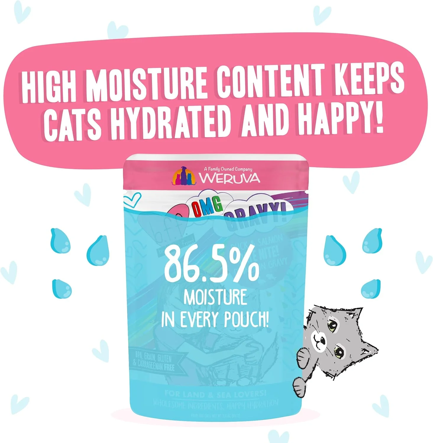 Weruva B.F.F. OMG - Best Feline Friend Oh My Gravy!, Date Nite! with Duck & Salmon in Gravy Cat Food - Image 7