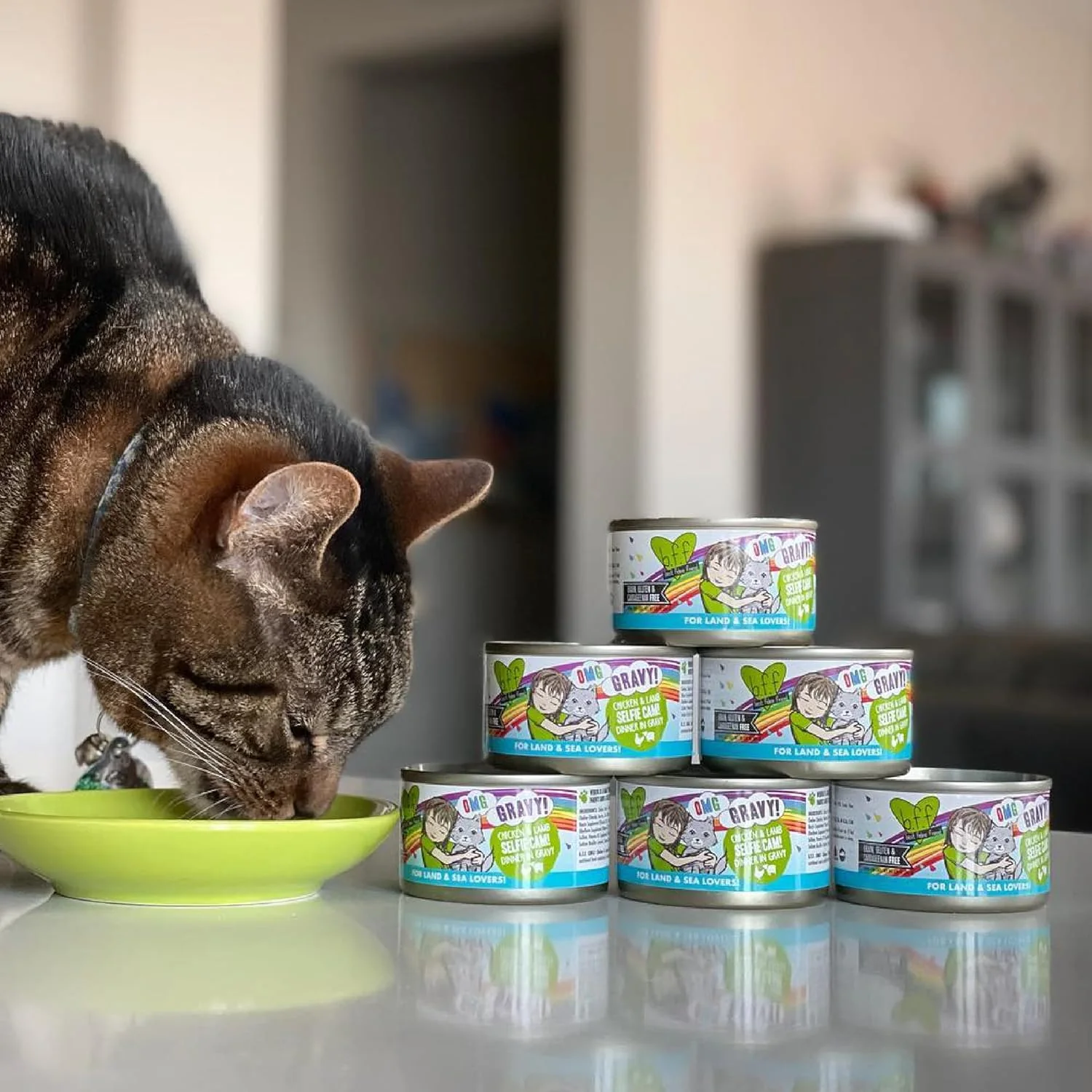 Weruva B.F.F. OMG - Best Feline Friend Oh My Gravy! Grain-Free Wet Cat Food Cans, Crazy 4 U! Chicken & Salmon, 2.8oz Can (Pack of 12) - Image 5