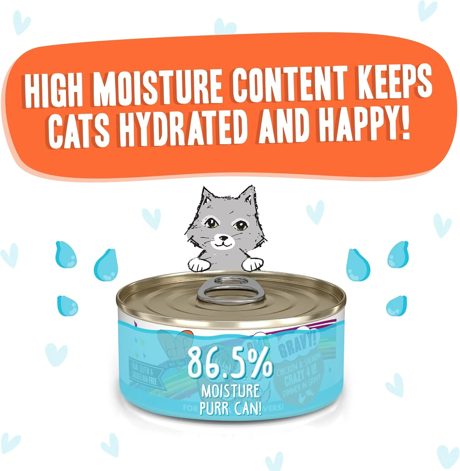 Weruva B.F.F. OMG - Best Feline Friend Oh My Gravy! Grain-Free Wet Cat Food Cans, Crazy 4 U! Chicken & Salmon (Pack of 8) - Image 2