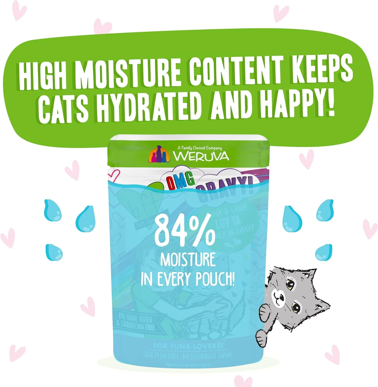 Weruva B.F.F. OMG - Best Feline Friend Oh My Gravy!, Tuna & Lamb Luv Ya with Tuna & Lamb in Gravy Cat Food - Image 7