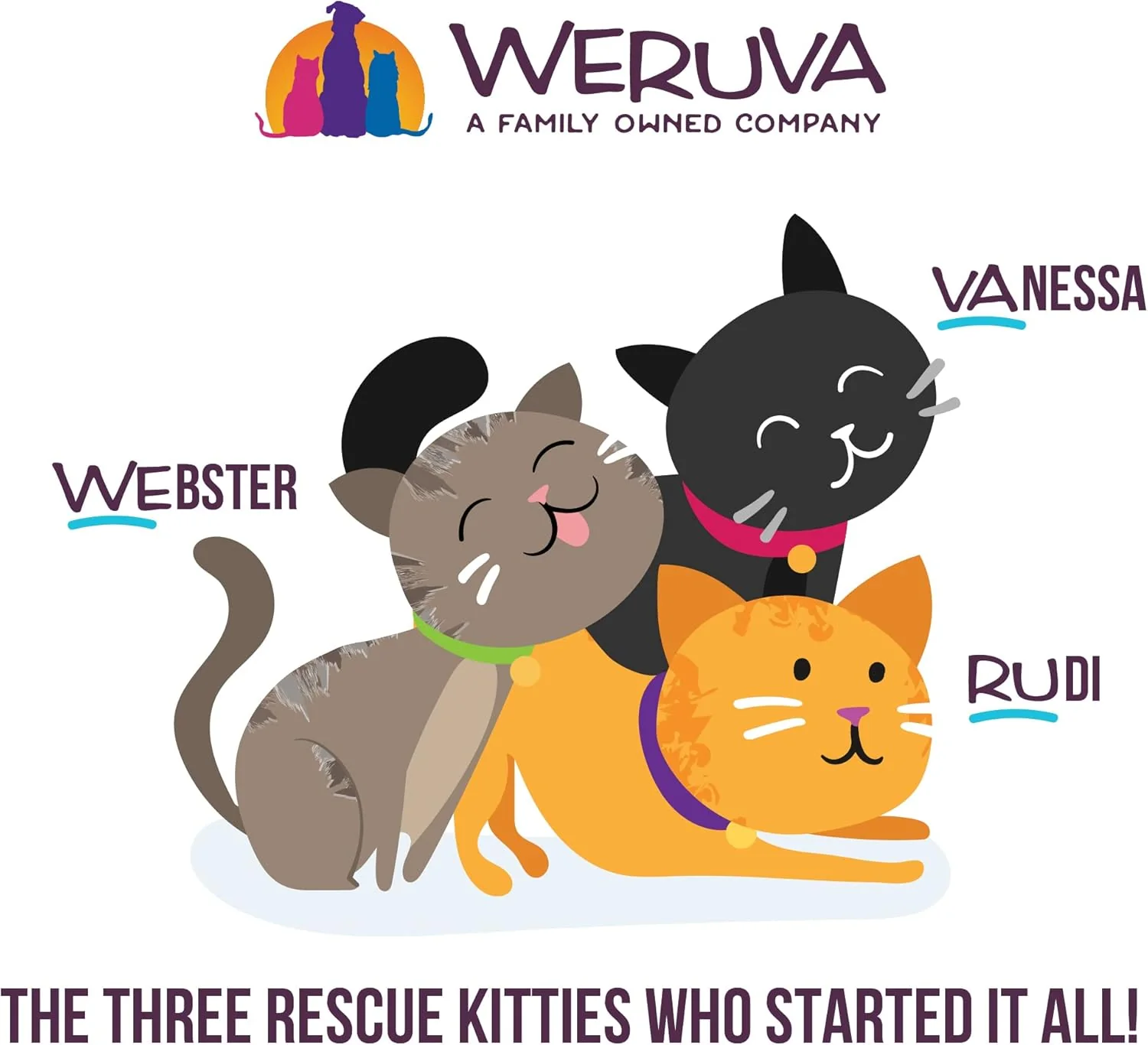 Weruva B.F.F. OMG - Best Feline Friend Oh My Gravy!, Variety Pack, Rainbow Road, Wet Cat Food by - Image 6