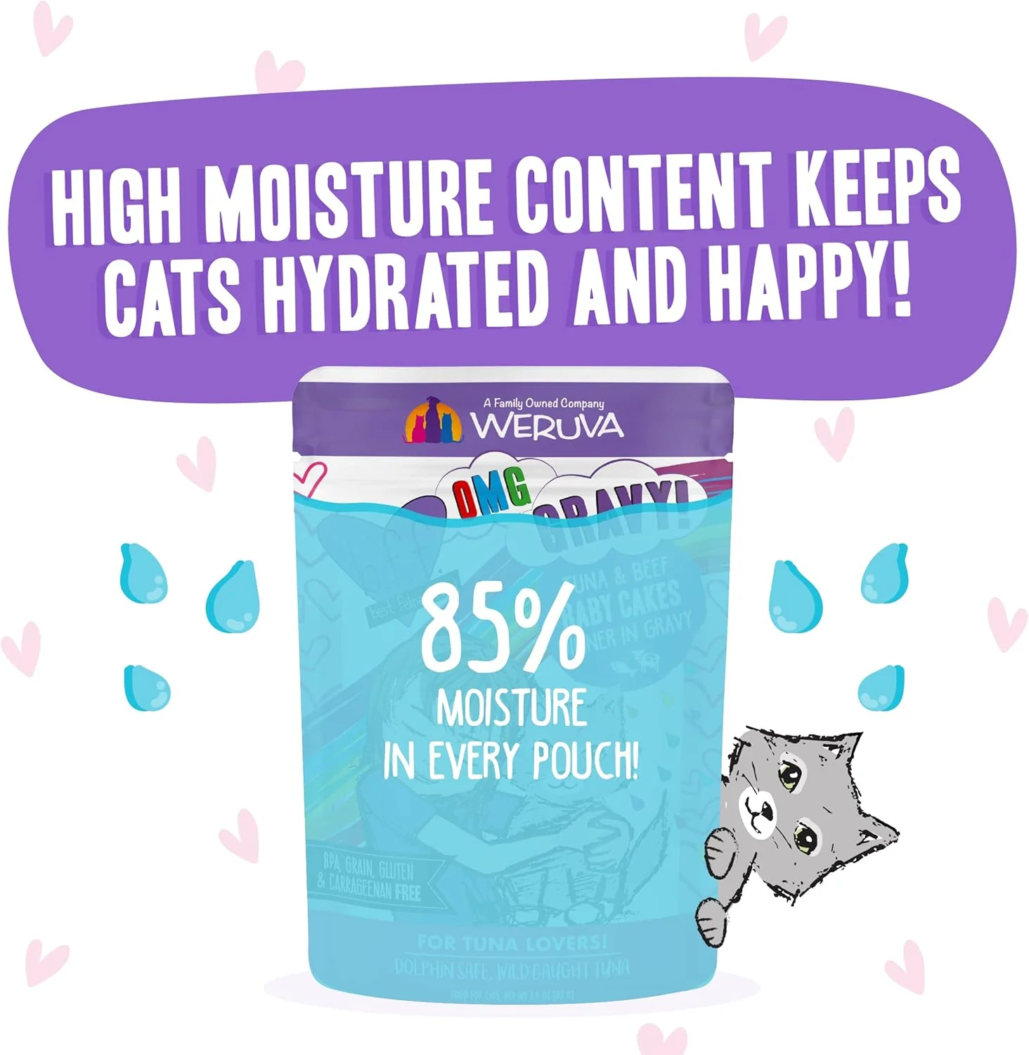 Weruva B.F.OMG - Best Feline Friend Oh My Gravy!, Tuna & Beef Baby Cakes with Tuna & Beef in Gravy Cat Food - Image 6
