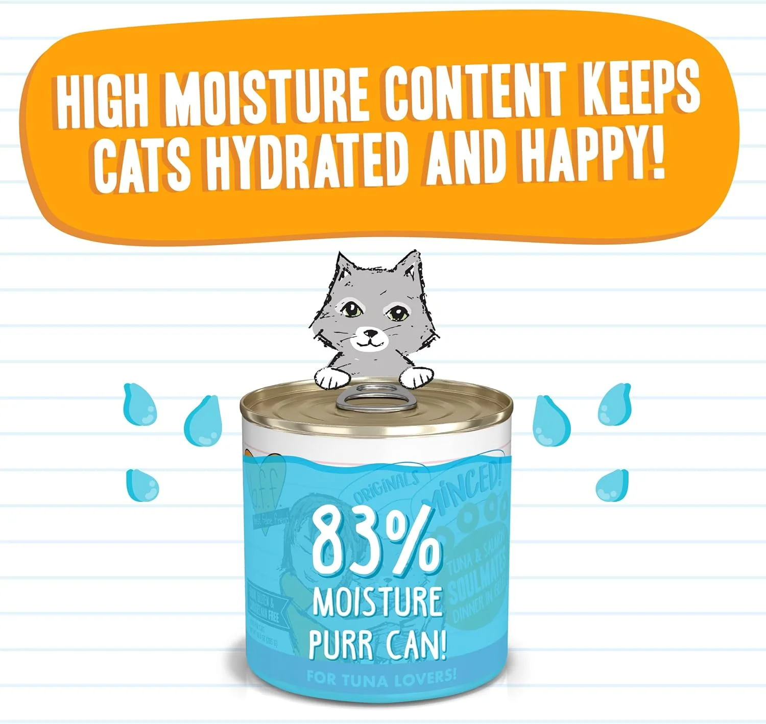Weruva Best Feline Friend (B.F.F.) Grain-Free Cat Food, Tuna & Salmon Soulmates - Image 5