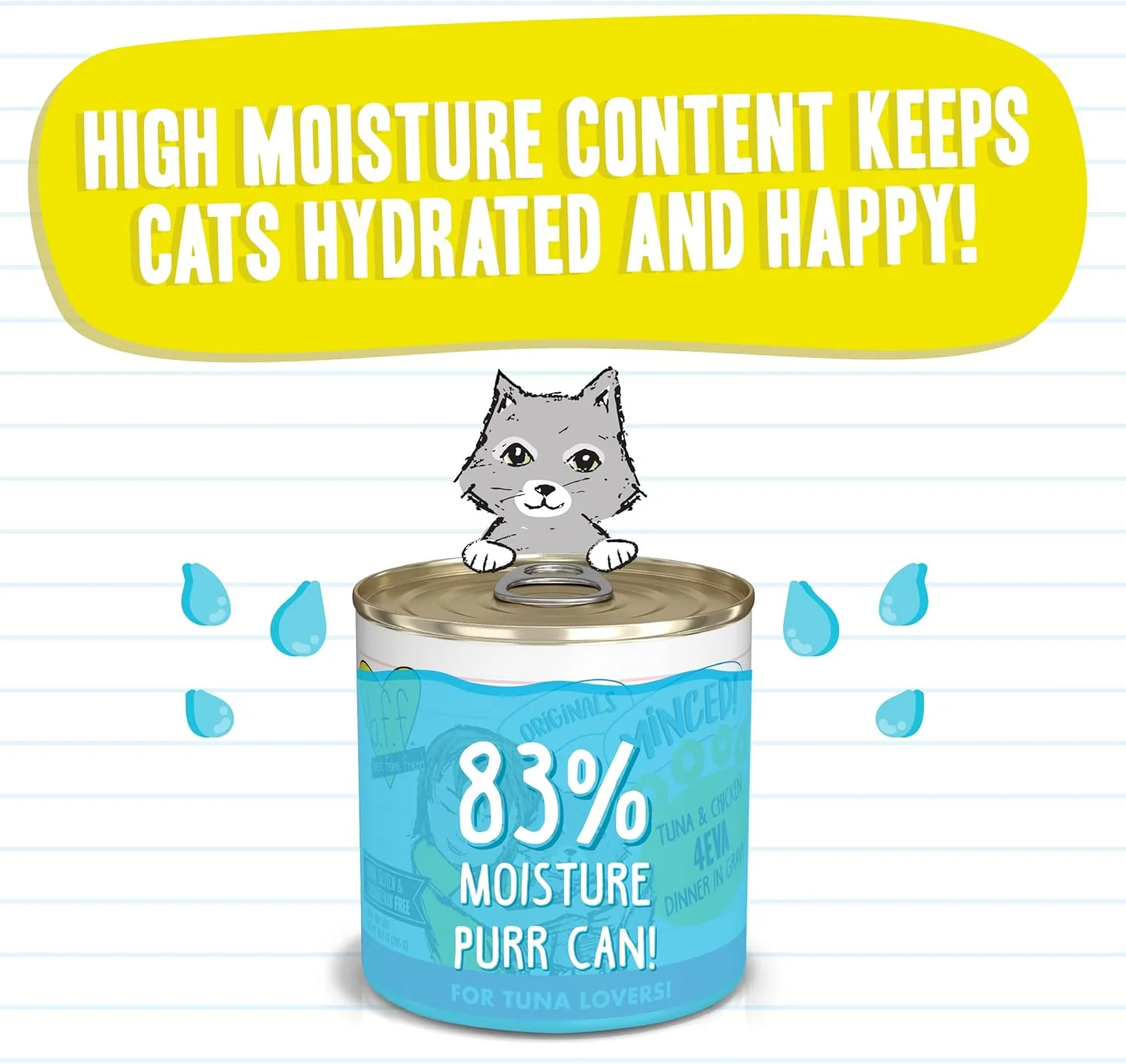Weruva Best Feline Friend (B.F.F.) Tuna & Chicken 4-Eva with Tuna & Chicken in Gravy Cat Food - Image 6