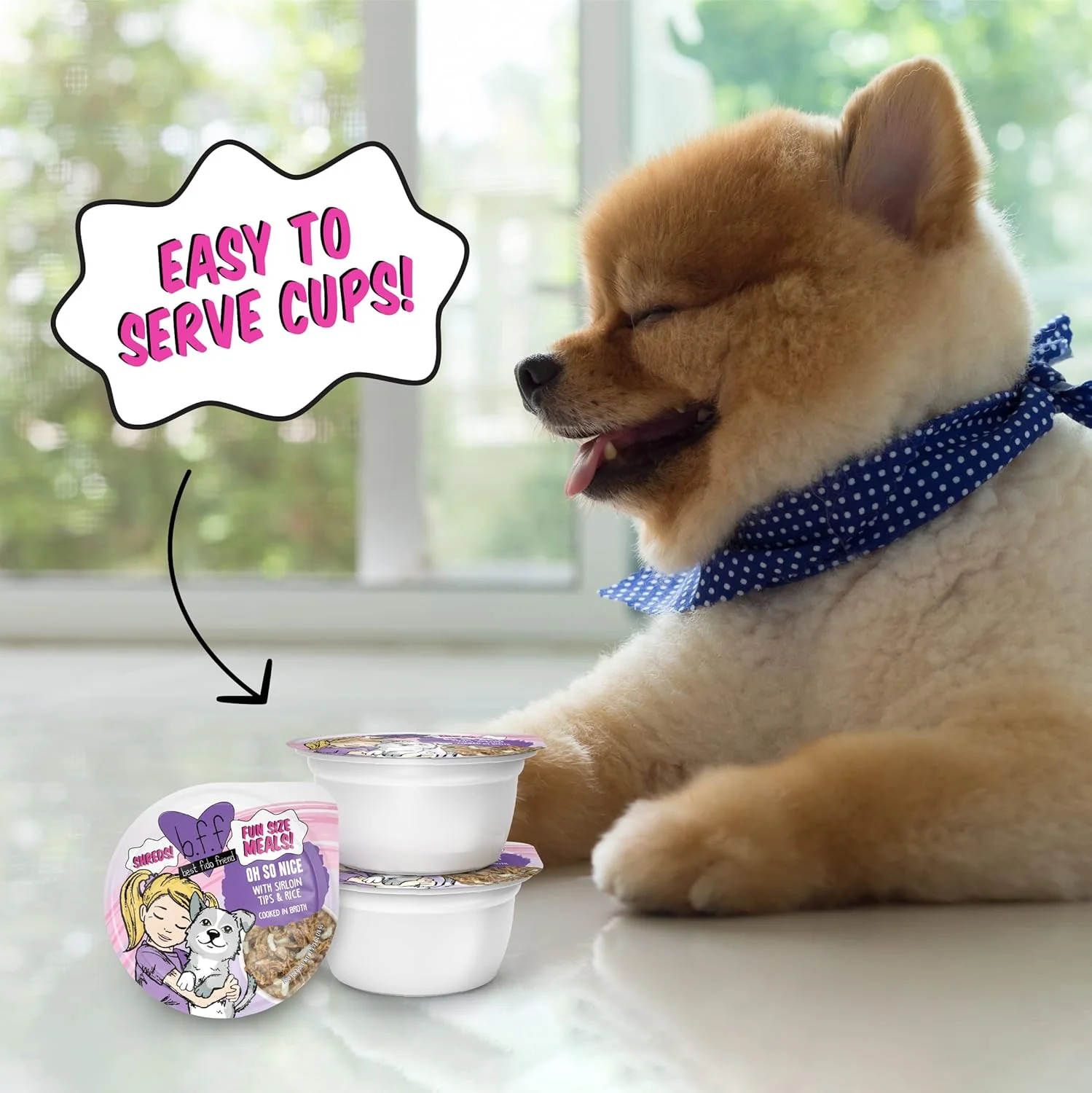 Weruva Best Fido Friend Fun Size Meals for Dogs, Oh So Nice 2.75-oz(Pack of 12) - Image 9