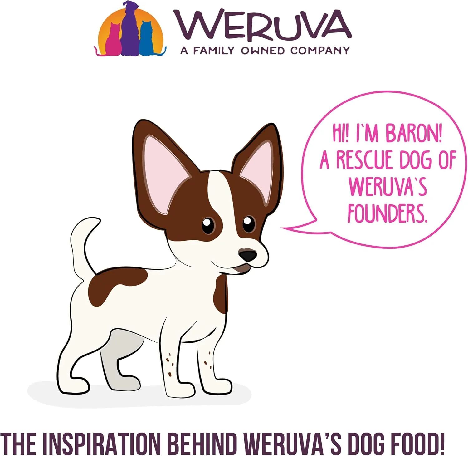Weruva Best Fido Friend Fun Size Meals for Dogs, We Be Jammin, 2.75oz Cup, Pack of 12 - Image 6