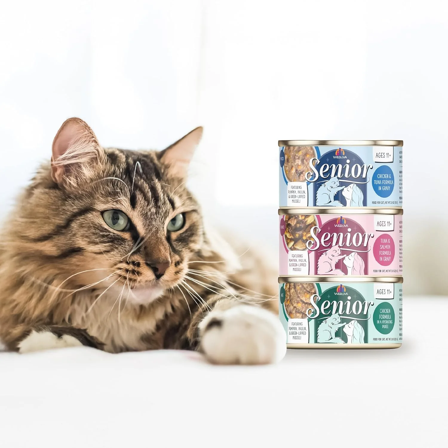 Weruva Cat Senior, Chicken Formula in Gravy - Image 7