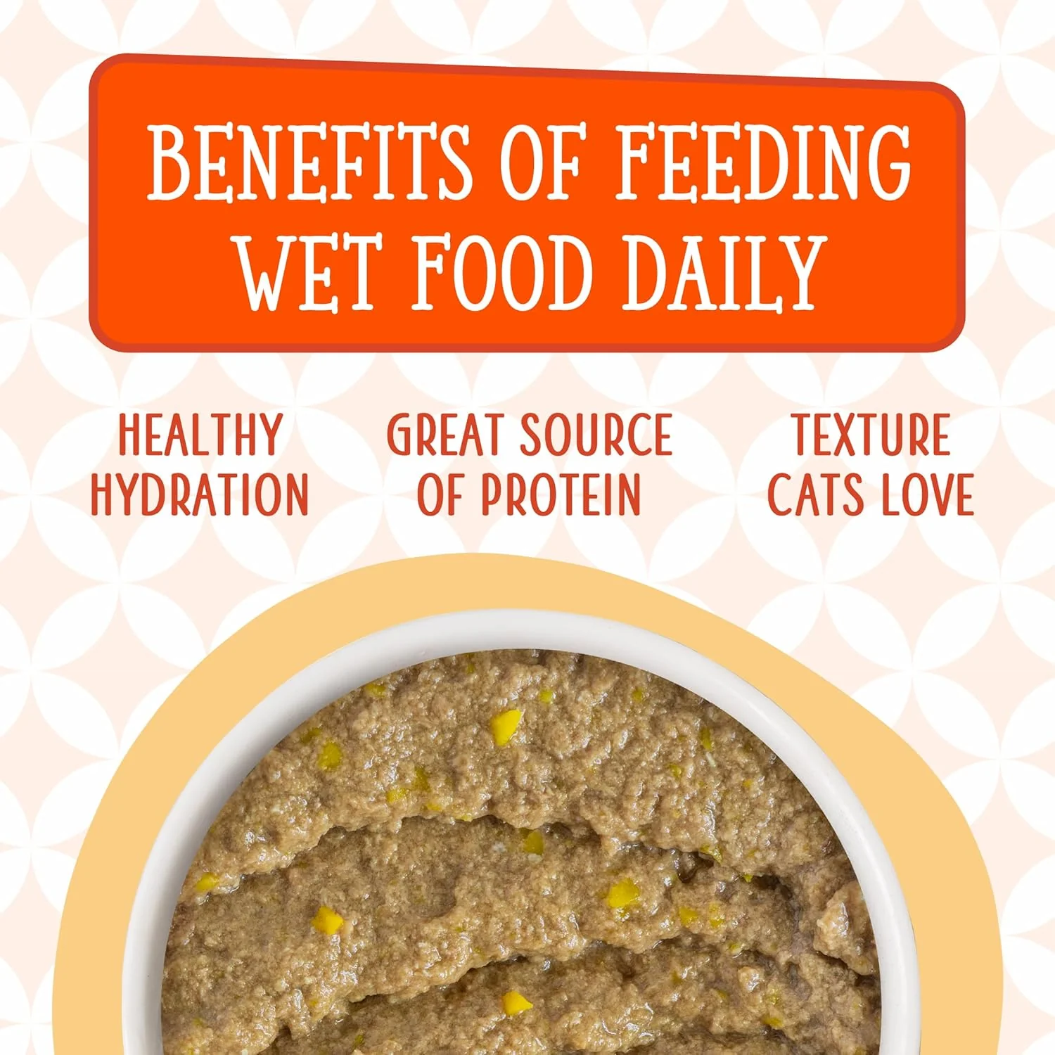 Weruva Cats in The Kitchen Paté, The Breakfast Cat with Chicken & Pumpkin - Image 7