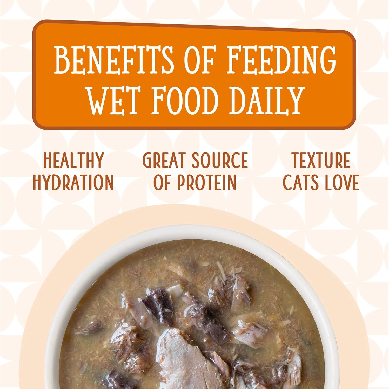 Weruva Cats in The Kitchen, Pumpkin Jack Splash with Tuna in Pumpkin Soup Cat Food - Image 7