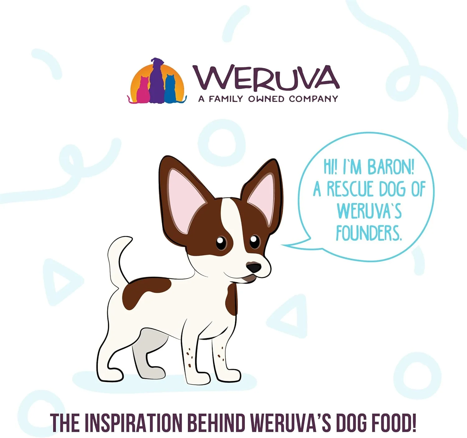 Weruva Meals 'n More Natural Wet Dog Food, Funky Chunky Plus Skin & Coat Health (Pack of 12) - Image 8
