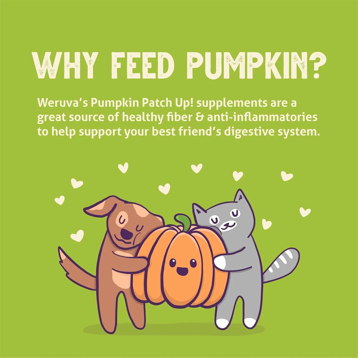 Weruva Pumpkin Patch Up! Pumpkin Pouches for Dogs & Cats 12 Pouches - Image 8