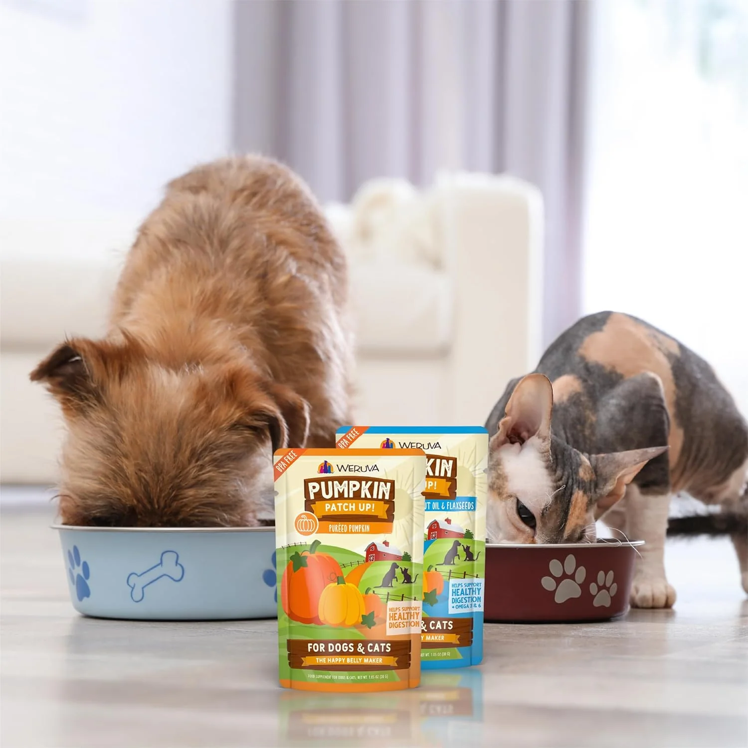 Weruva Pumpkin Patch Up! Pumpkin Pouches for Dogs & Cats 12 Pouches - Image 9