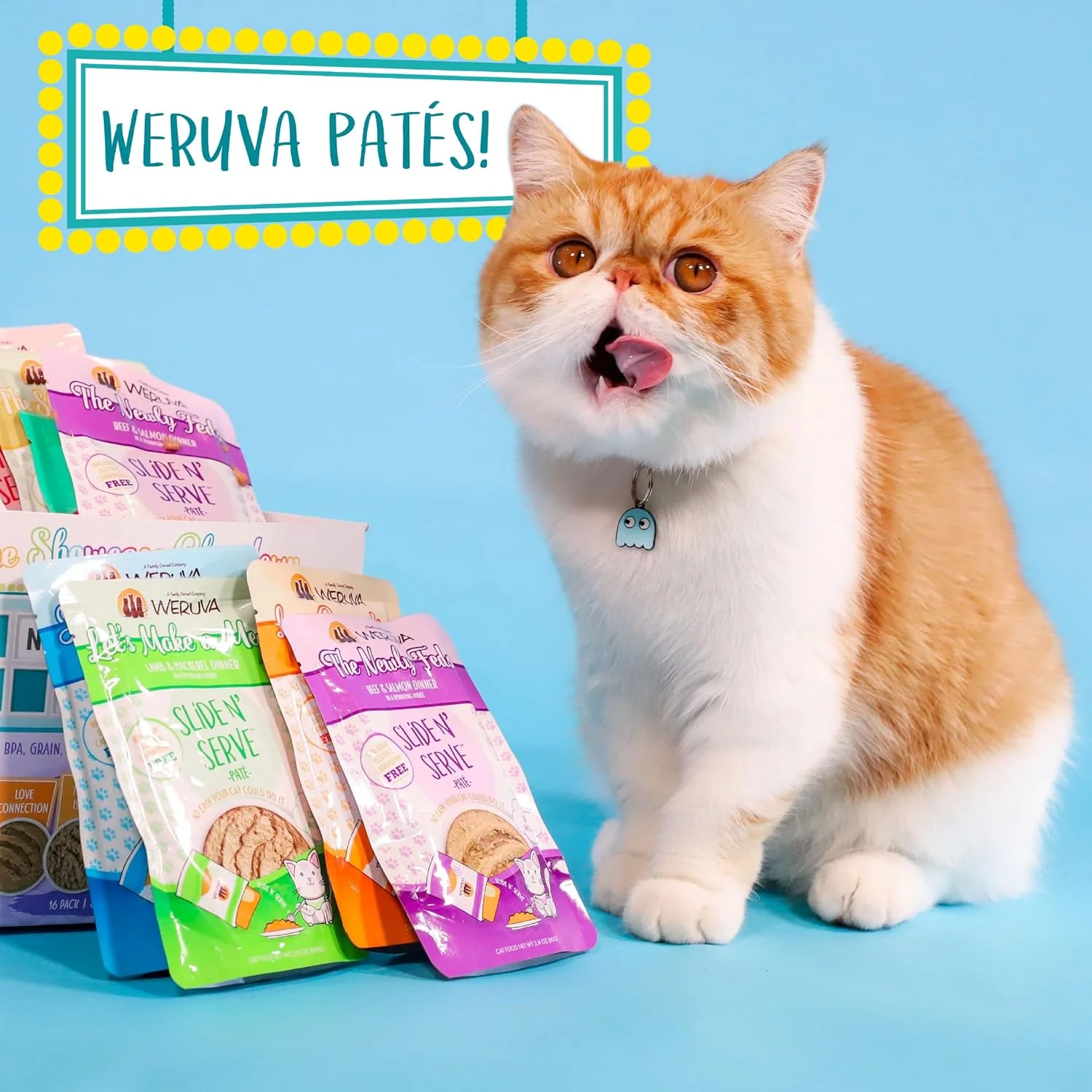Weruva Wet Cat Food, Lets Make a Meal with Lamb and Mackerel Pate (Pack of 12) - Image 9
