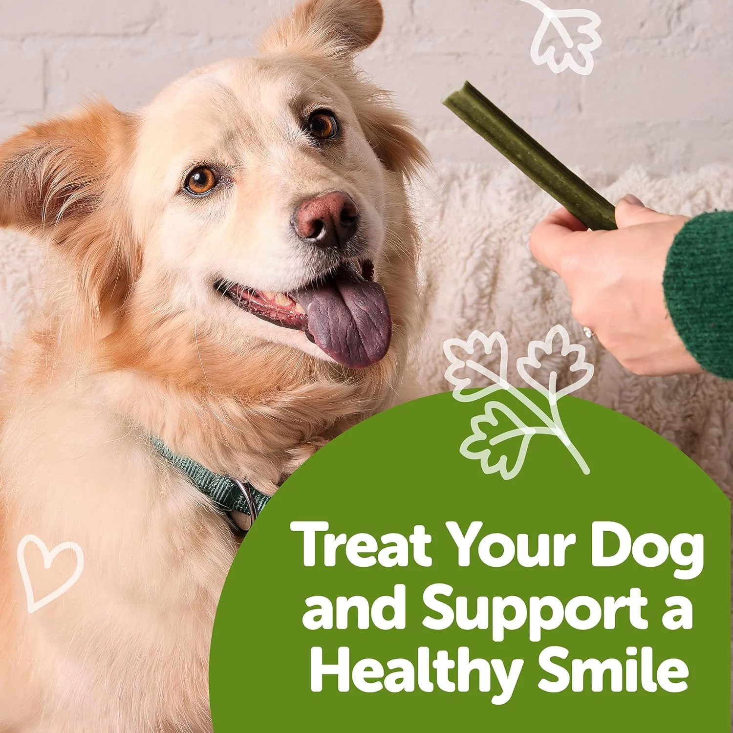 Whimzees Wellness Freshzees Dog Dental Treats, Natural Chews, Medium Size Stick - Image 8