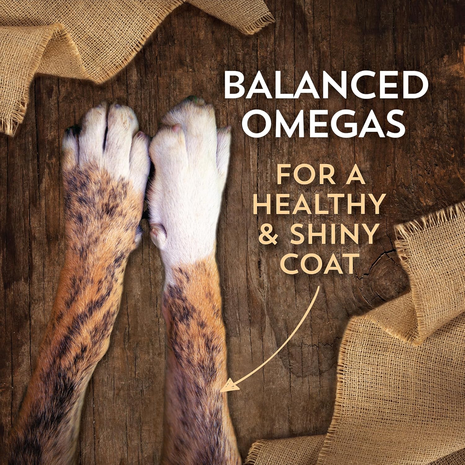 Wholesomes Large Breed Puppy Dry Dog Food lb - Image 3
