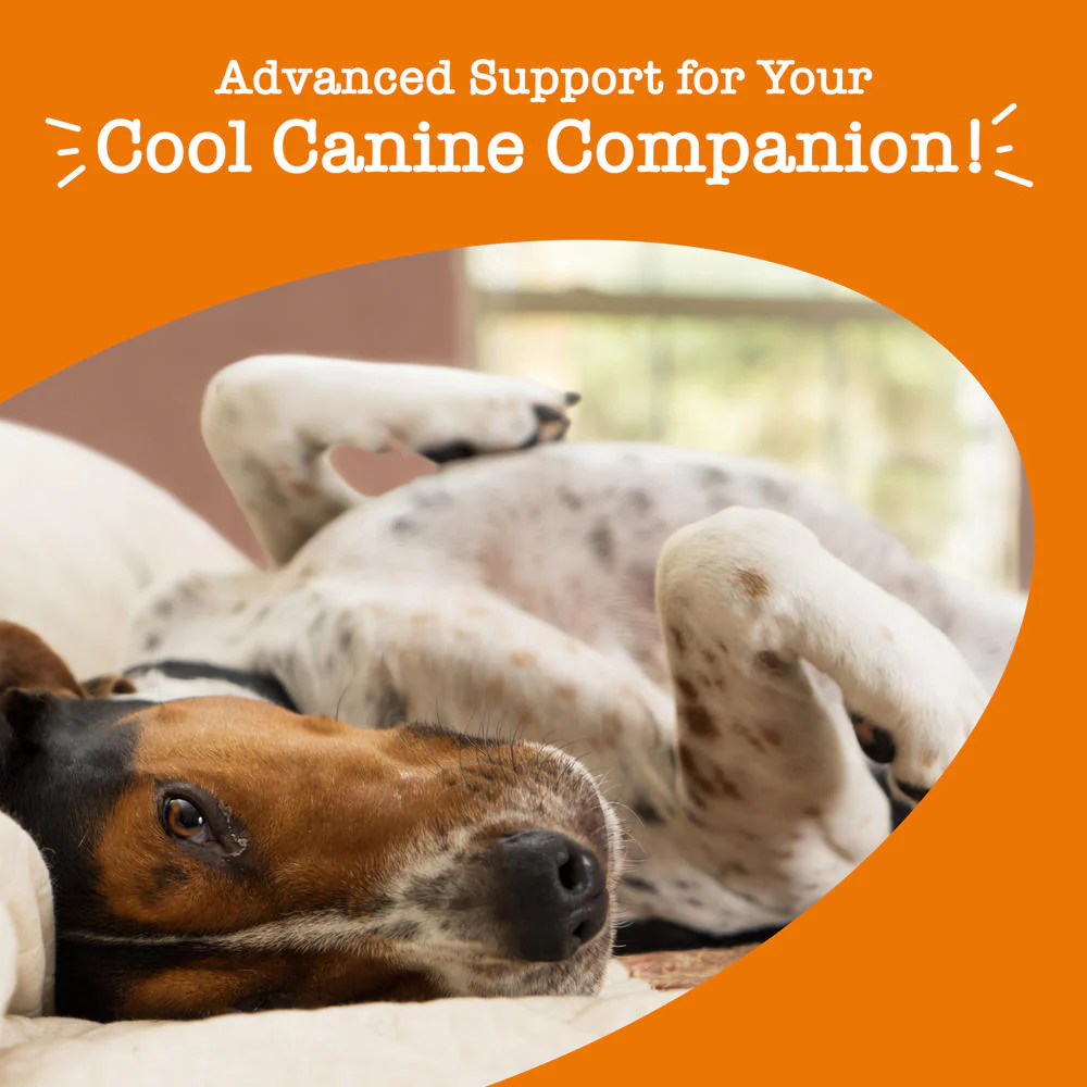 Zesty Advance Calming Soft Chew 60 ct - Image 4