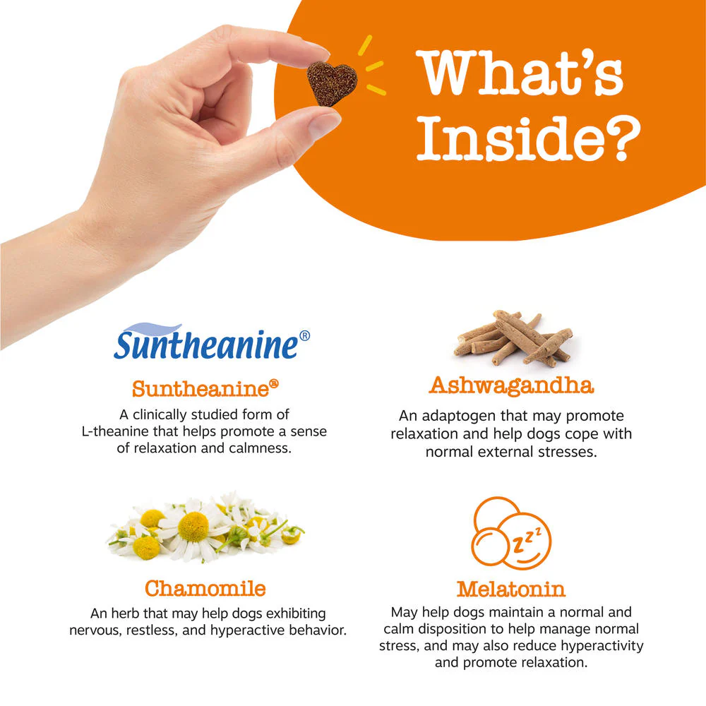 Zesty Advance Calming Soft Chew 60 ct - Image 5