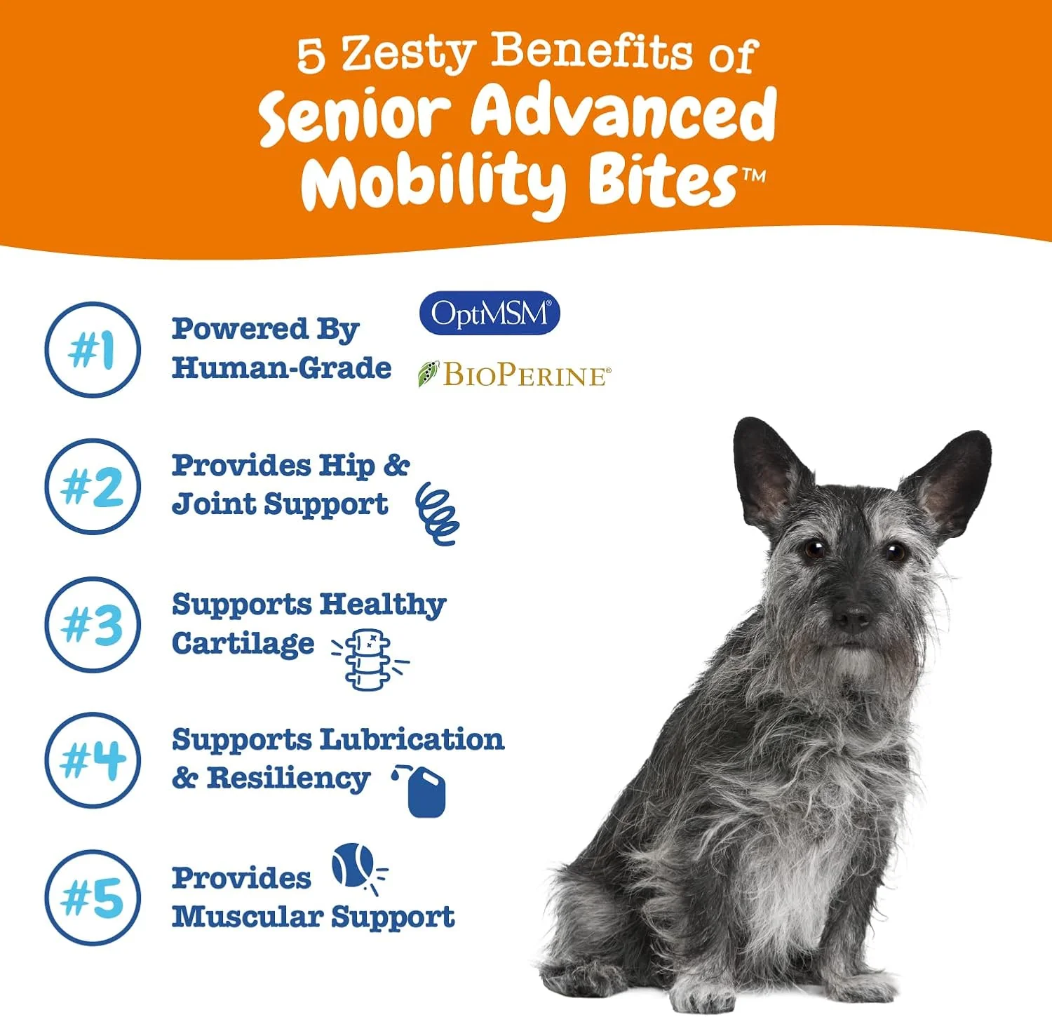 Zesty Paws Mobility Bites Joint Supplement for Dogs - Soft Chews with Glucosamine for Dogs, Chondroitin, & MSM + Vitamins C and E - Adv Chicken - 90 Count - Image 2