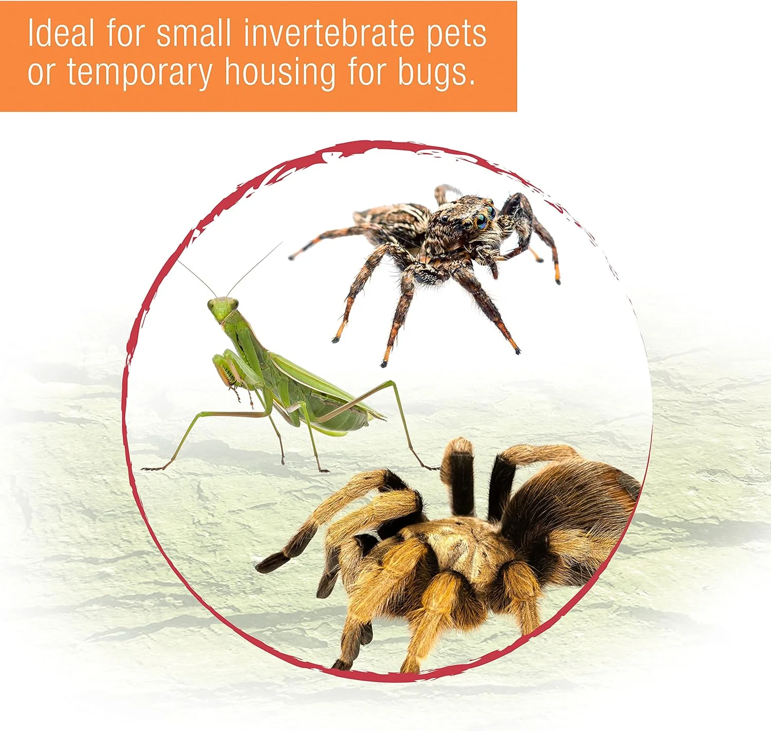 Zilla Micro Habitat Terrariums with Locking Latch - Image 7