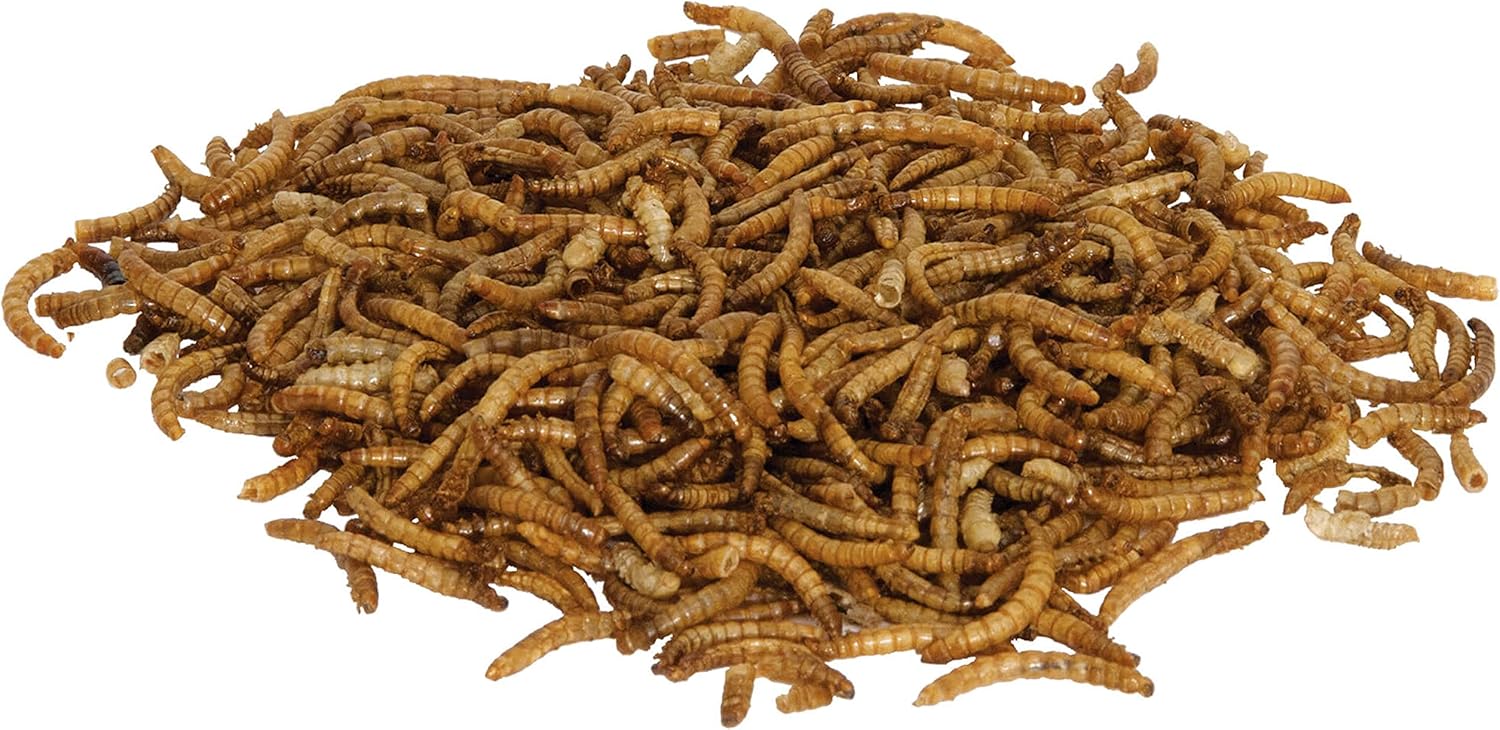 Zilla Reptile Munchies Mealworm .5 Ounces - Image 3