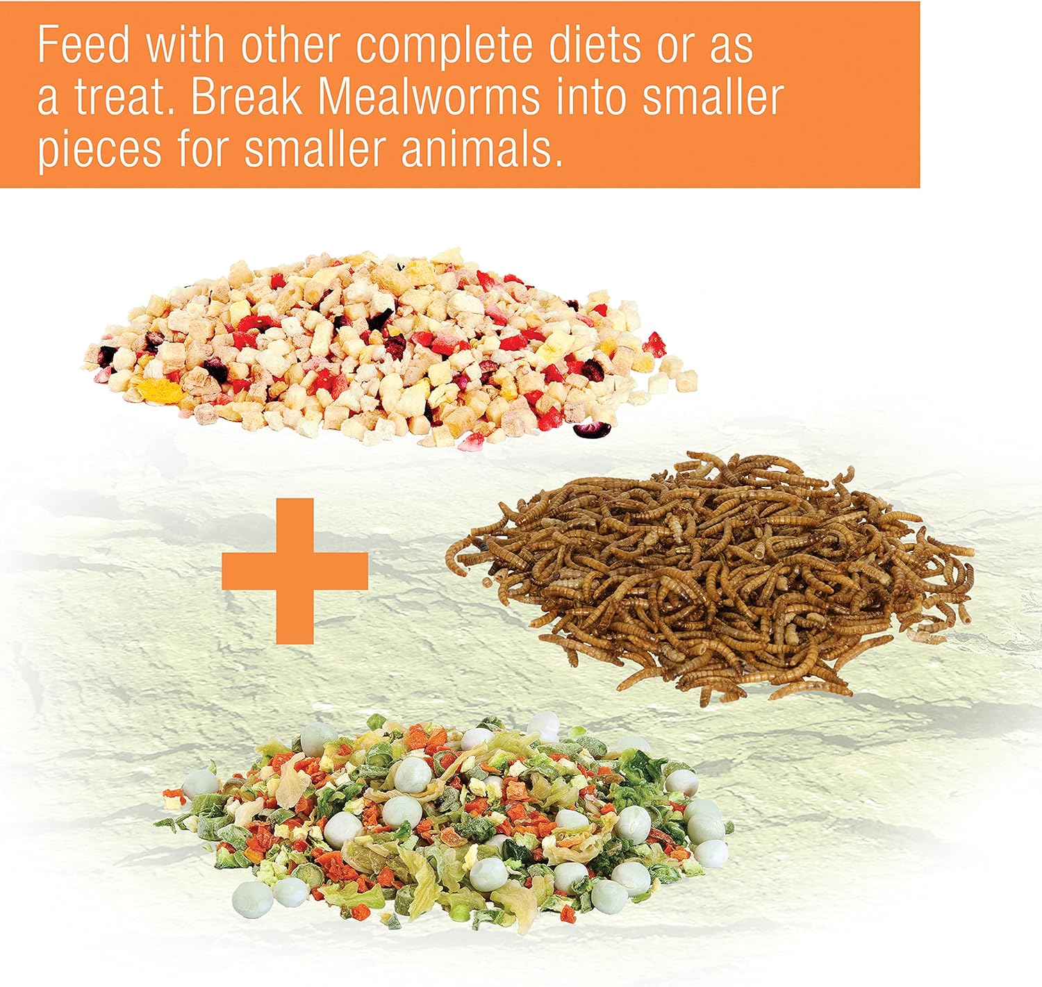Zilla Reptile Munchies Mealworm .5 Ounces - Image 4