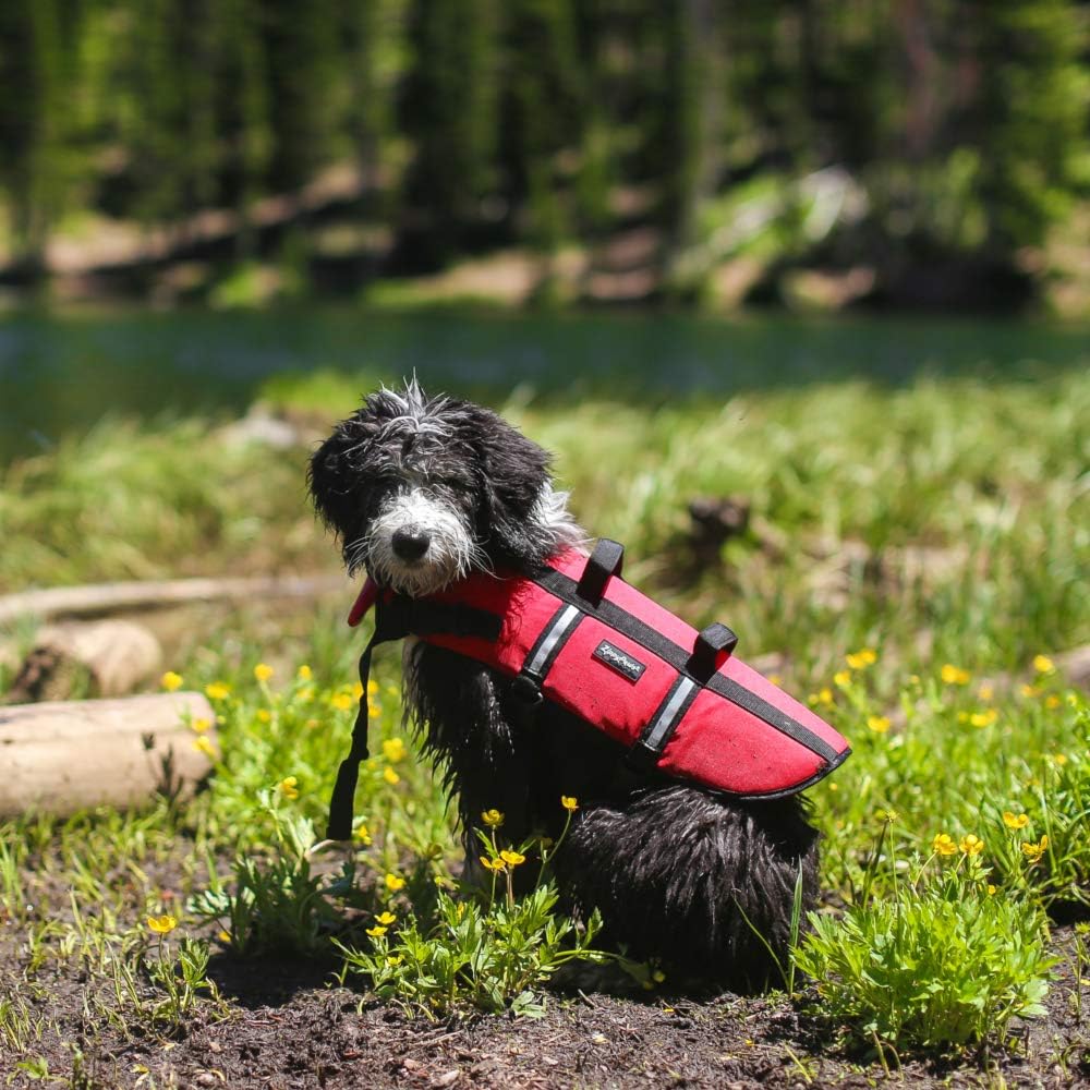 ZippyPaws Adventure Dog Life Jacket Red - Image 4