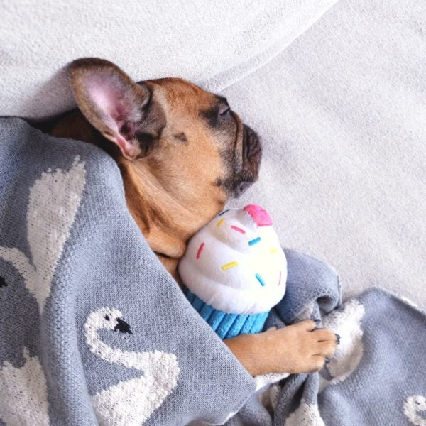 ZippyPaws Blue Cupcake Plush Dog Toy, Soft & Cuddly- Blue - Image 3