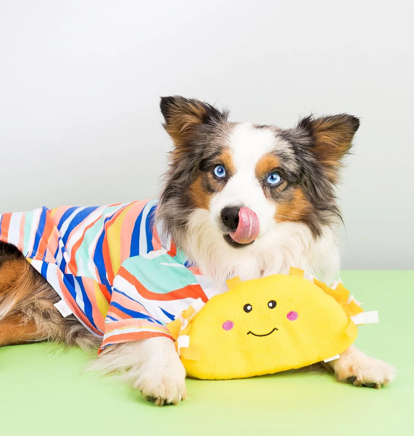 ZippyPaws NomNomz Plush Taco Dog Toy - Image 3