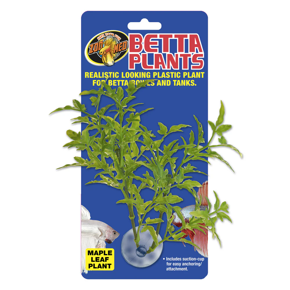 Zoo Med Betta Plant Maple Leaf Green