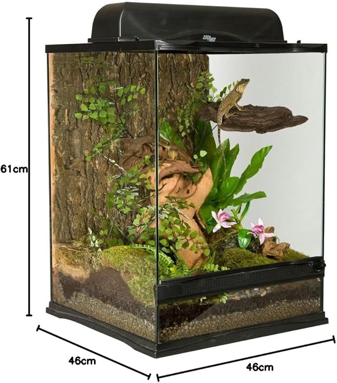 Zoo Med Naturalistic Terrarium - Image 3
