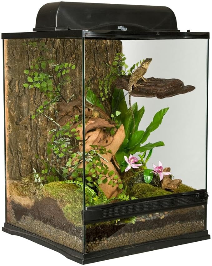 Zoo Med Naturalistic Terrarium - Image 6