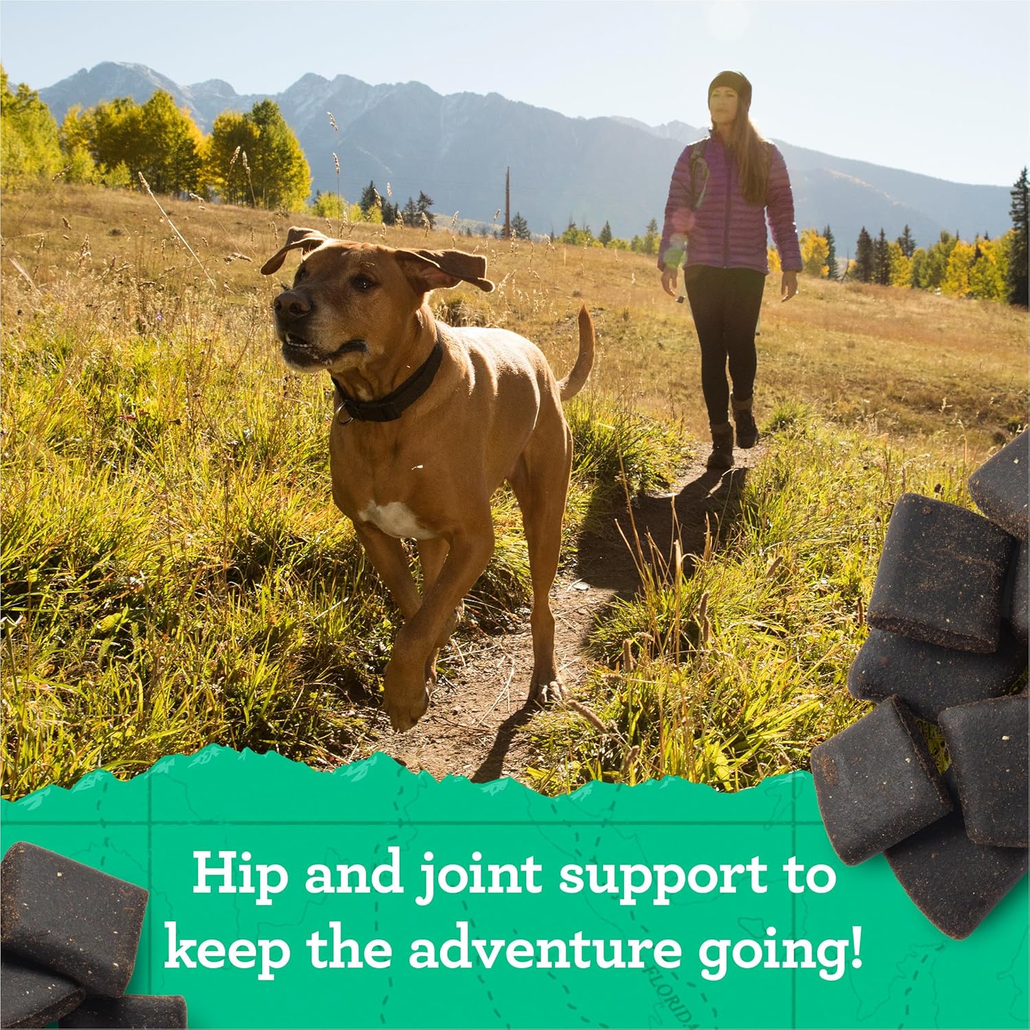 Zuke’s Hip and Joint Support Dog Treats for Adult Dogs of All Sizes, Senior Dog Treats made with Real Chicken - Image 2