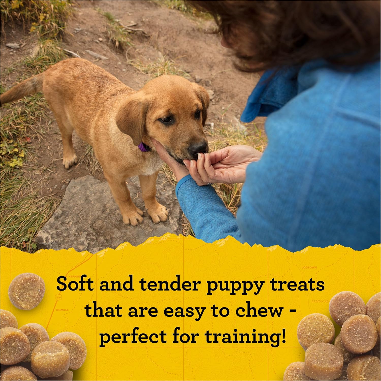 Zuke's Puppy Naturals Bag of Soft Puppy Treats for Training, Natural Dog Treats Bites with Salmon Recipe - Image 2