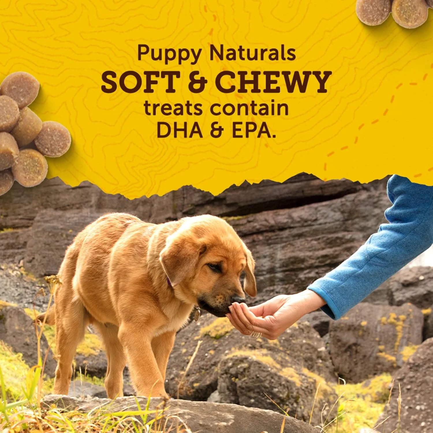 Zuke's Puppy Naturals Bag of Soft Puppy Treats for Training, Natural Dog Treats Bites with Salmon Recipe - Image 6