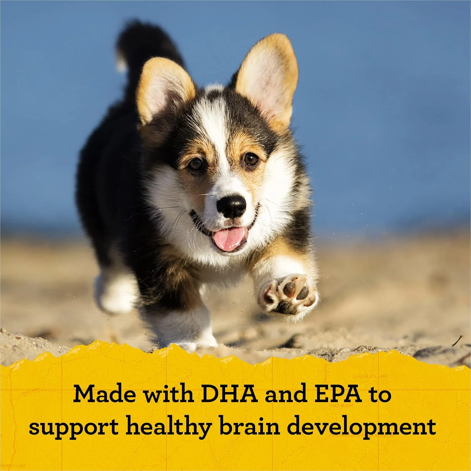 Zuke's Puppy Naturals Dog Training Treats, Pork & Chickpea Recipe, Nutrient - Image 5