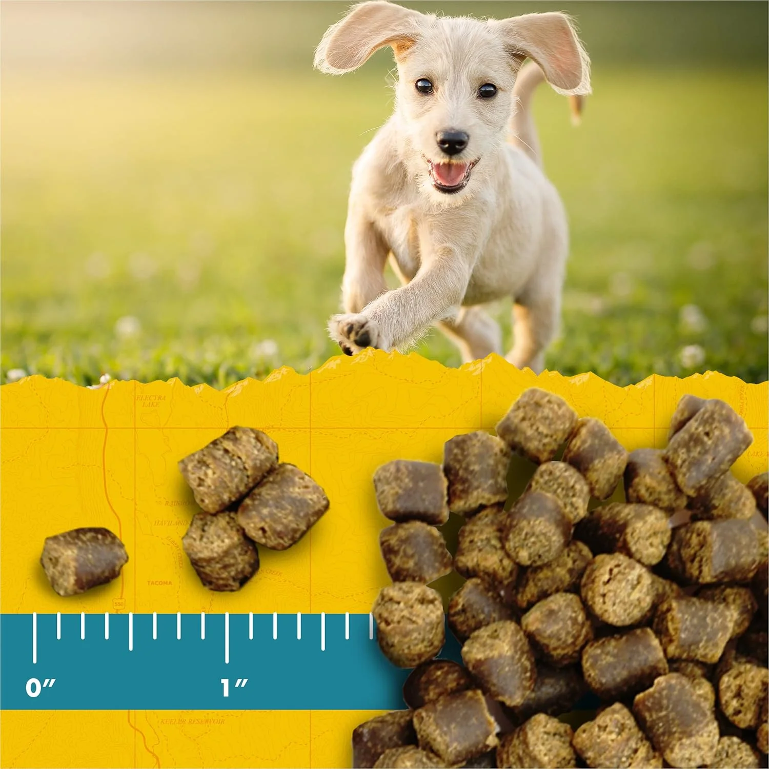 Zuke's Puppy Naturals Dog Training Treats, Pork & Chickpea Recipe, Nutrient - Image 6